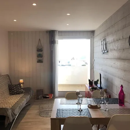 T2 Renove, 4 Couchages, Parking Prive, 200m Plage, Balcon, Meuble Tourisme 2 Etoiles - Fr-1-224c-179 *