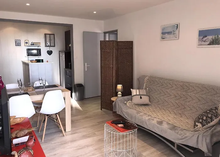 T2 Rénové, 4 Couchages, Parking Privé, 200m Plage, Balcon, Meublé Tourisme 2 étoiles - Fr-1-224c-179 Appartement